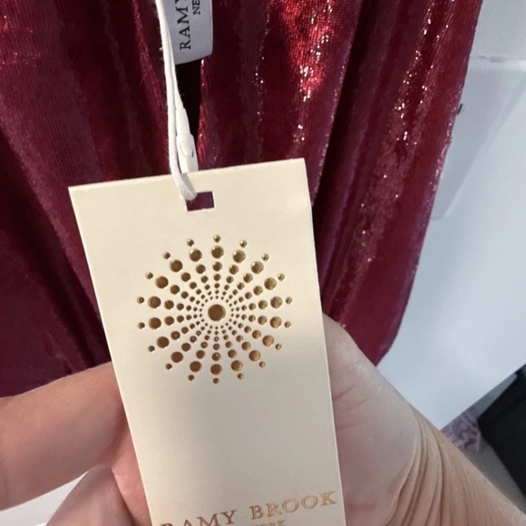 Ramy Brook Sparkling Crimson Mini Dress - Picture 4 of 15